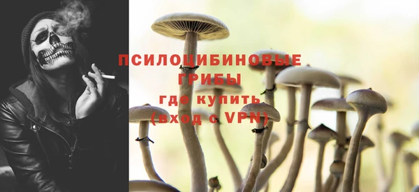 ECSTASY Яровое