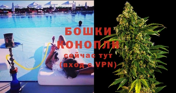 ECSTASY Яровое