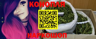 сатива Чебаркуль