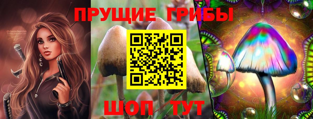 Новочебоксарск  Псилоцибиновые грибы мухоморы  купить наркотик  Вход с VPN 